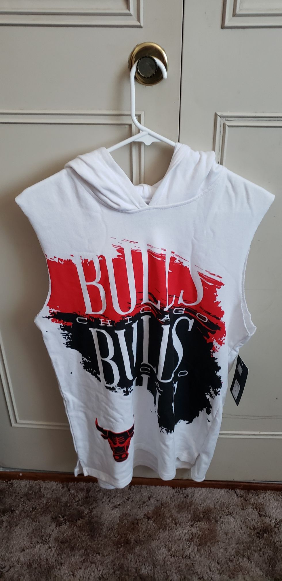Chicago bulls