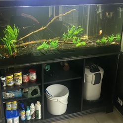 Fish Tank And More……