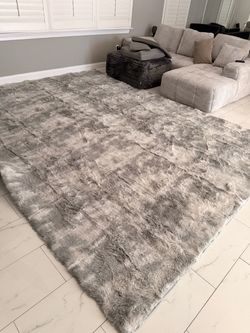 Large are rug!