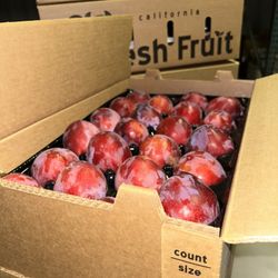 Organic Ruby Kat Plums 20 Lbs 