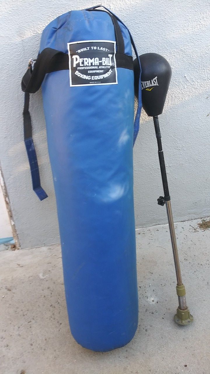 Punching bag and speed