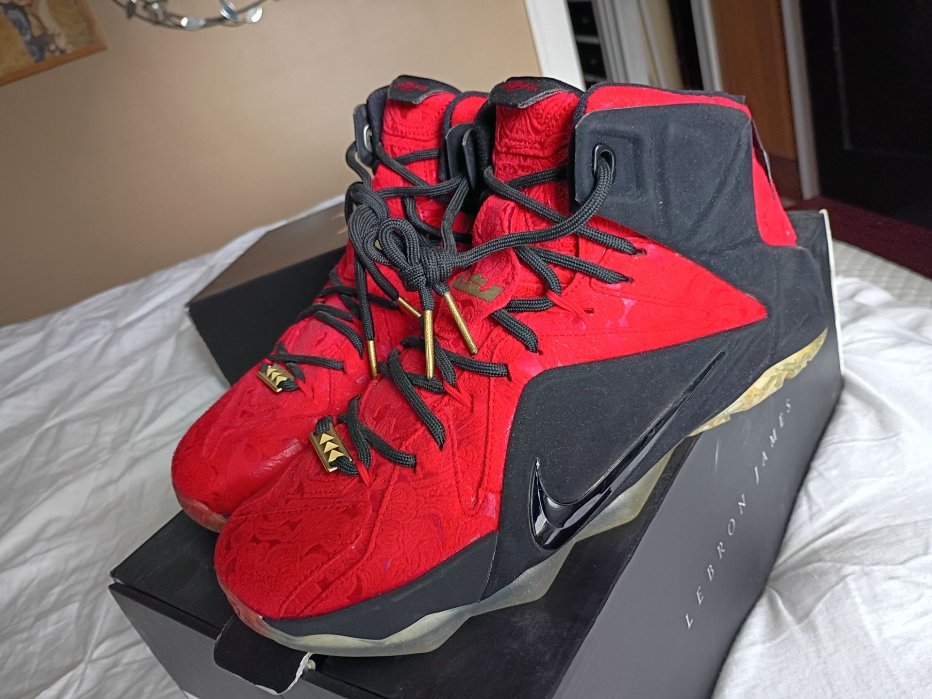 LeBron 12