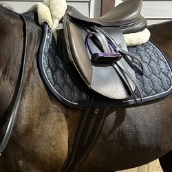 HDR Memor - X Close Contact Saddle 