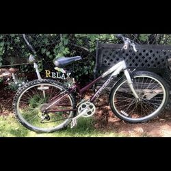 Trek Bike