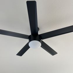 Modern Black Ceiling Fan with Light