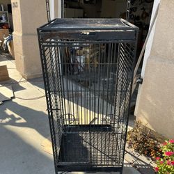 Bird Cage 