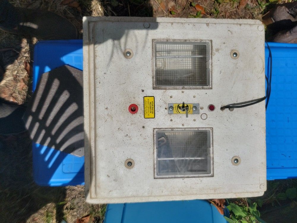 Incubator For Eggs