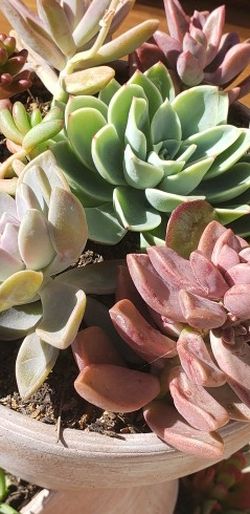Tilted Pots