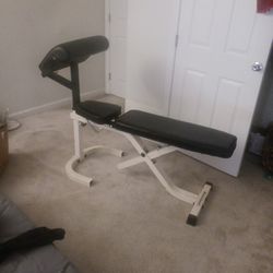 Professional Workout Bench 