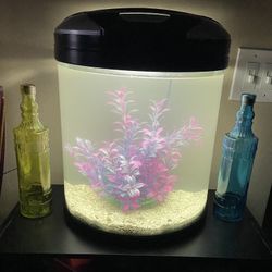 Fishtank