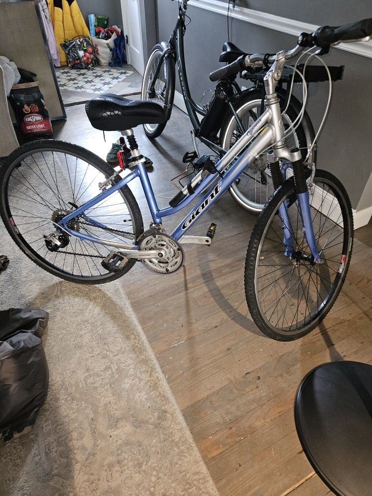 Mountain Bike 