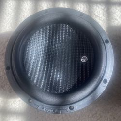 8” Subwoofer 