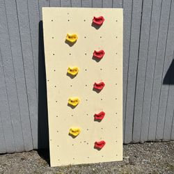 Bunk Bed Ladder Rock Wall