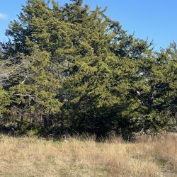 5 Acres in Rice TX Utilities Paved Road Mobile Homes OK 140,000.00