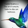 Ramireza