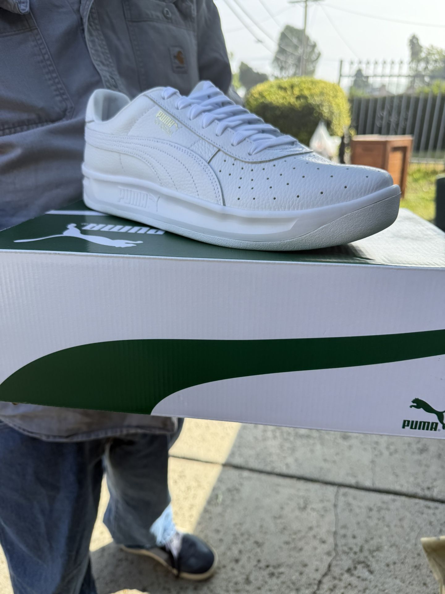 Puma GV Special + Shoes