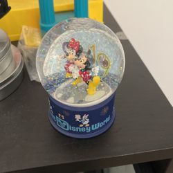 Disney World Snow Globe 2019