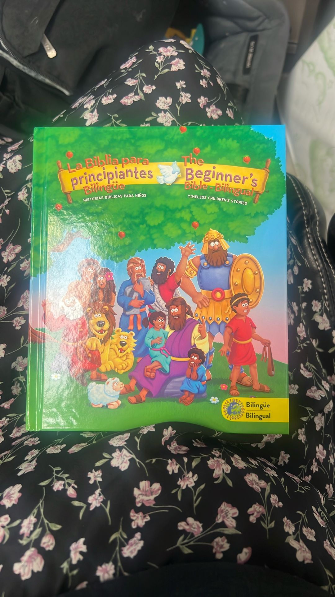 La biblia para pricipiantes bilingue