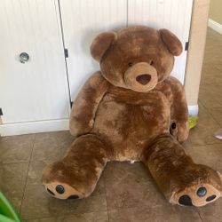 Super Large Bear