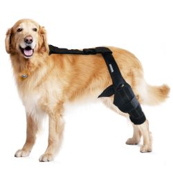 MerryMilo XL Adjustable Dog Leg Support Wrap – New