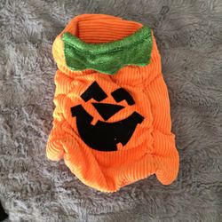XS Extra Small Halloween Pumpkin Dog Costume 