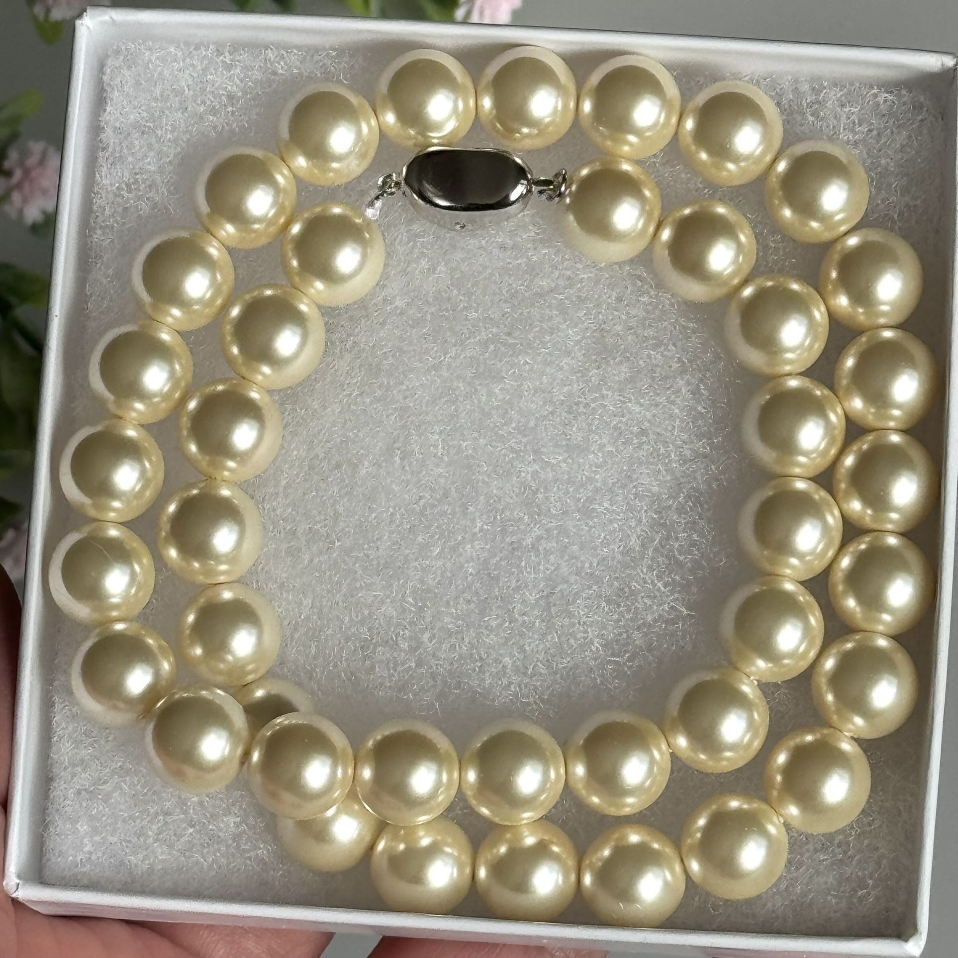 Shell Beads