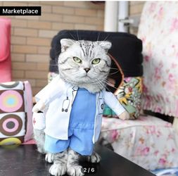 Pet Halloween Costume (doctor)