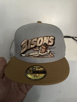 Bison Fitted Hat