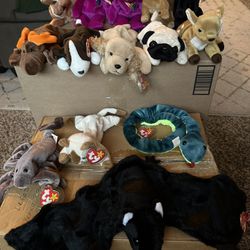 Ty Beanie Babies 