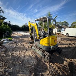 Mini Excavator