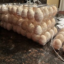 Fresh Eggs