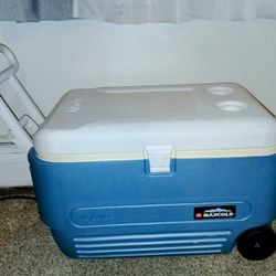 MaxCold Cooler, Blue/White, 40 Qt