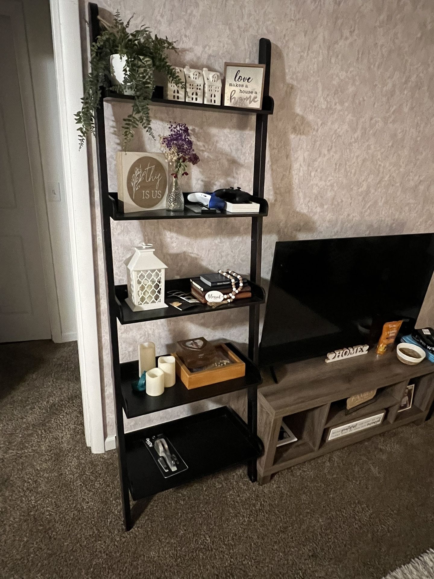 Ladder Shelf