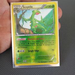 Pokemon - Sceptile (8/160) - XY Primal Clash - Reverse Holo