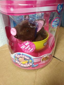 Teacup Piggies Litter 1