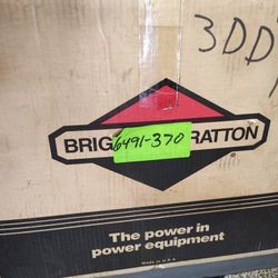 Briggs & Stratton Motors