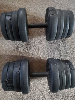 66lb Dumbbells for Sale