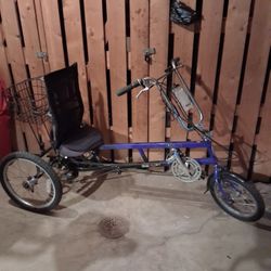 Sun Seeker EZ - Trike 