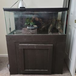 Reptile/fish Tank