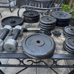 Gym Weights/ Plates 