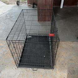 dog kennel