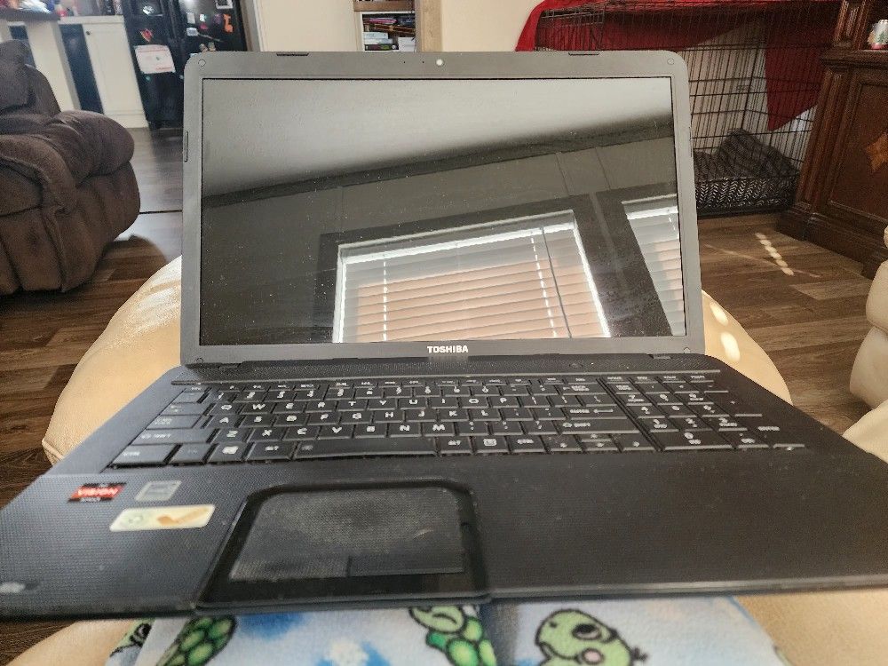 Toshiba Laptop