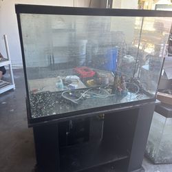 55 gallon Fish Tank