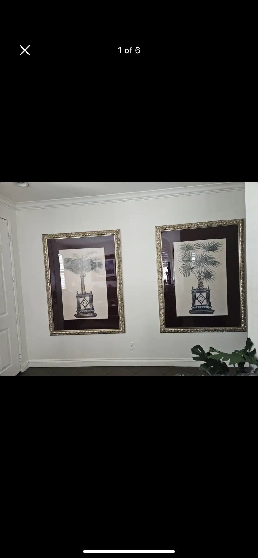 Designer Picture Frames