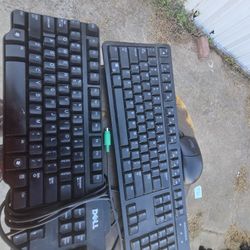Keyboards & Old Mouse 