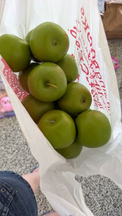Bag of fake apples home decor 🍏