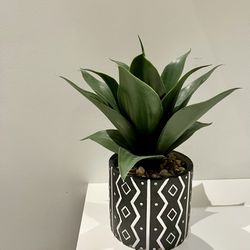 Faux Small Agave Plant w/ Pot