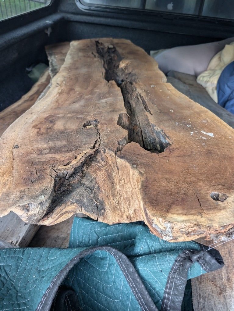Live Edge Mulberry And Eucalyptus Wood