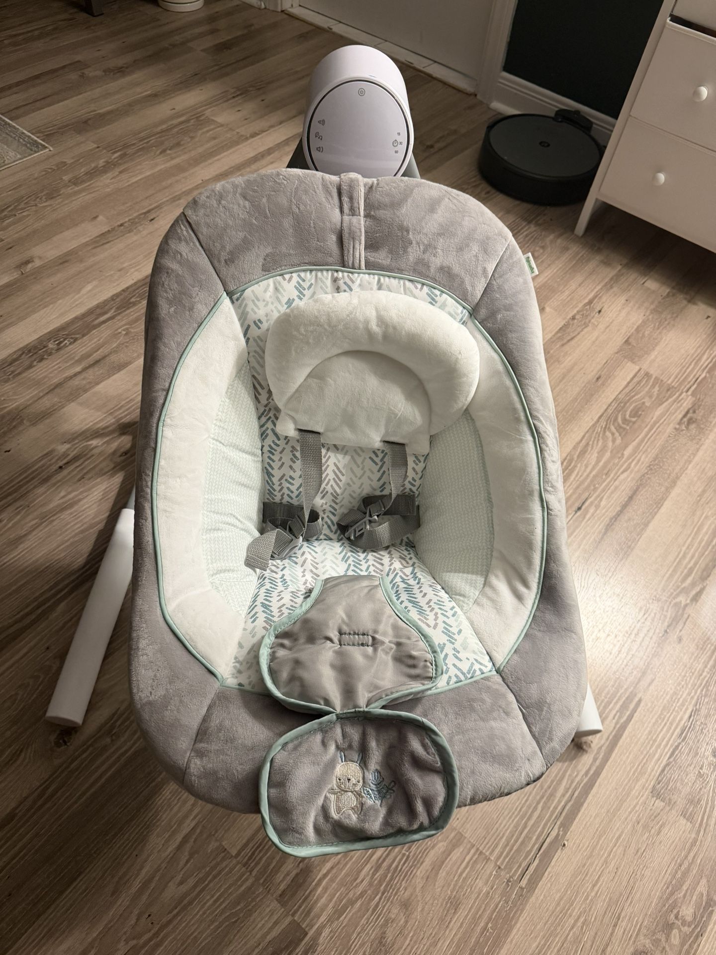 Ingenuity Baby Swing 