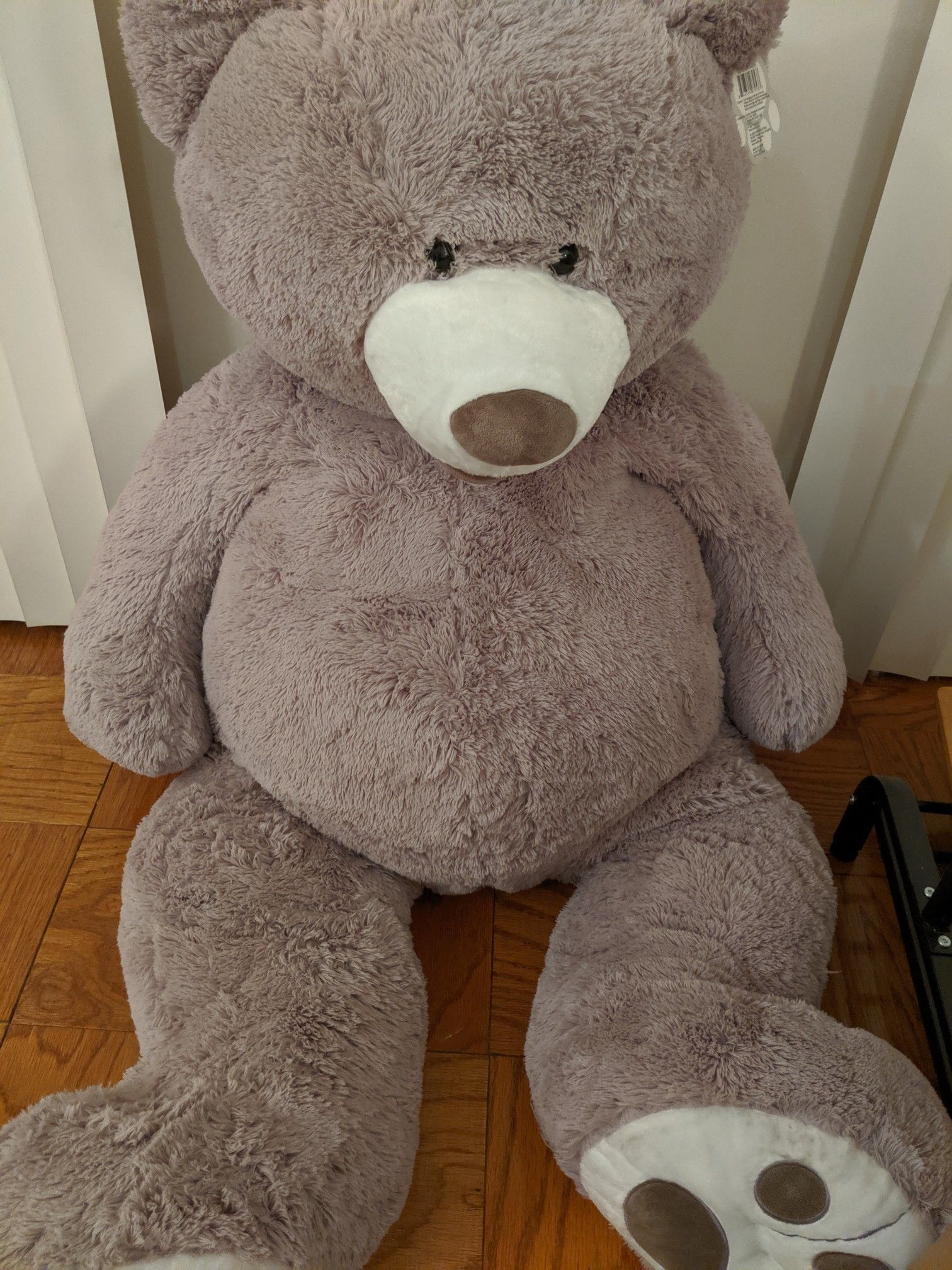 Costco lifesized teddy bear